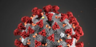 SHOCKING: Different types of Mutation in Coronavirus