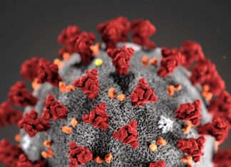 SHOCKING: Different types of Mutation in Coronavirus